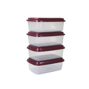 kit-presente-4-caixas-retangulares-transp-com-tampa-color-ref-0030-3