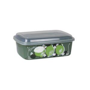 caixa-organizadora-retangular-color-com-tampa-transp-decorada-ref-0191-2