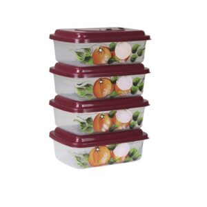 kit-4-org-retangular-transp-com-tampa-color-decorado