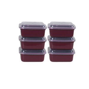 kit-6-org-quadrado-color-com-tampa-transp-ref-0421-2